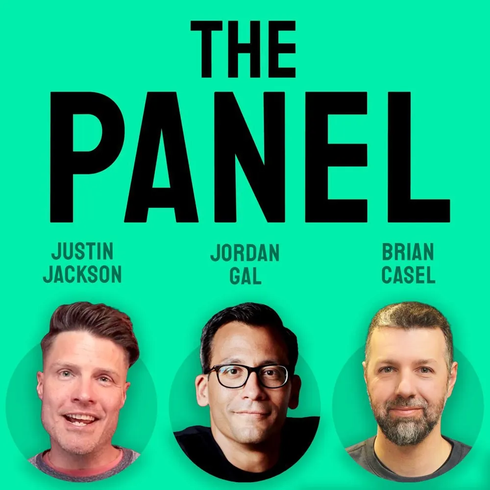 The Panel cover art